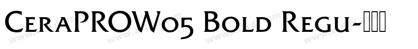 CeraPROW05 Bold Regu字体转换